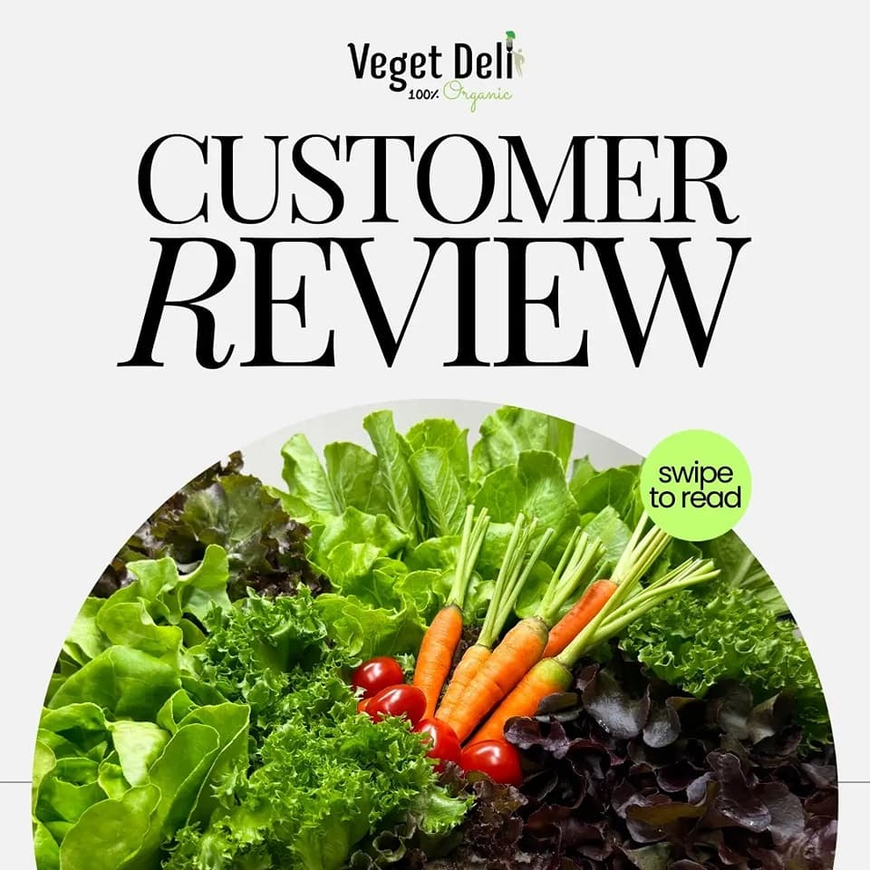 Veget Deli รีวิวจากลูกค้าของเรา