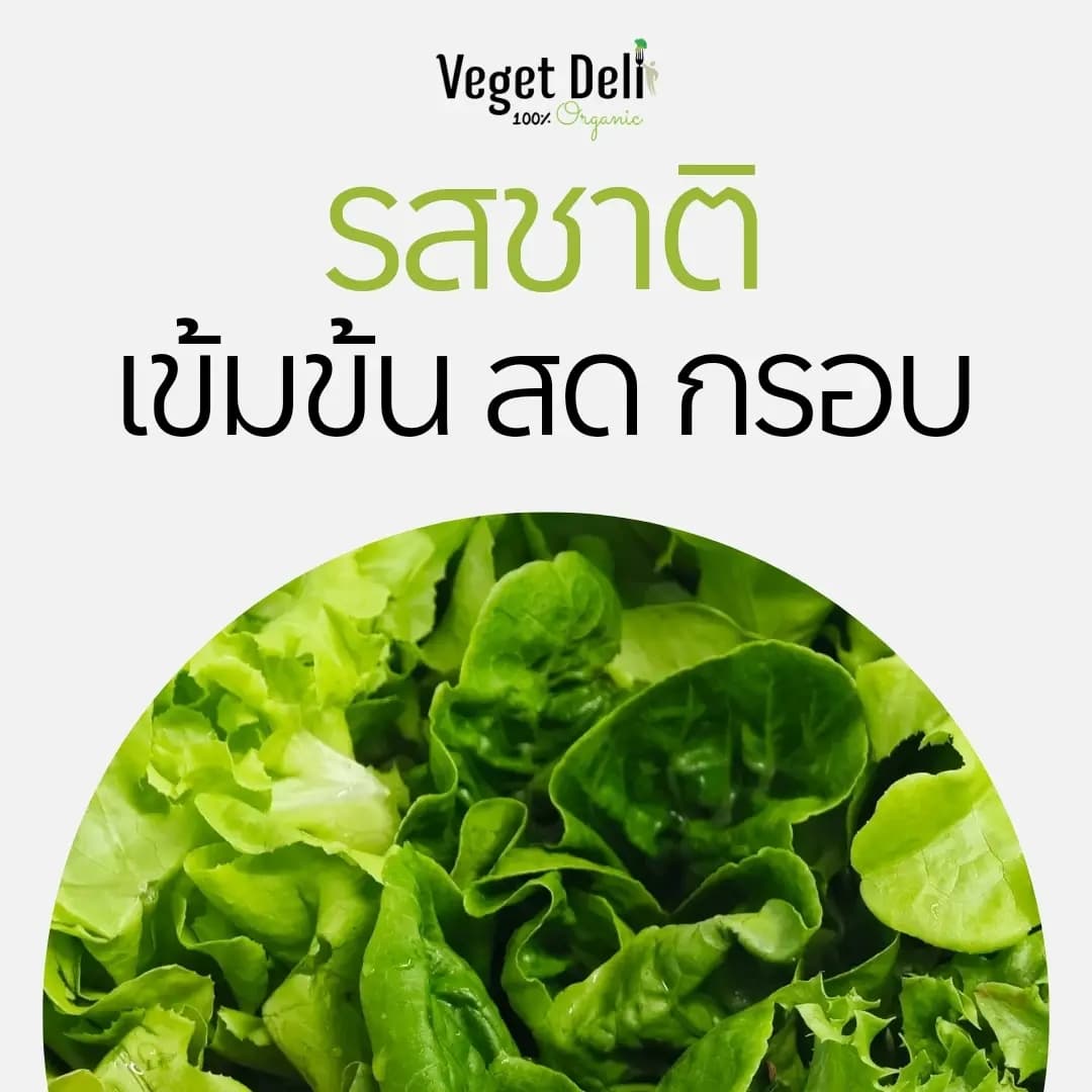 ผักออร์แกนิก รสชาติ เข้มข้น สด กรอบ อร่อย