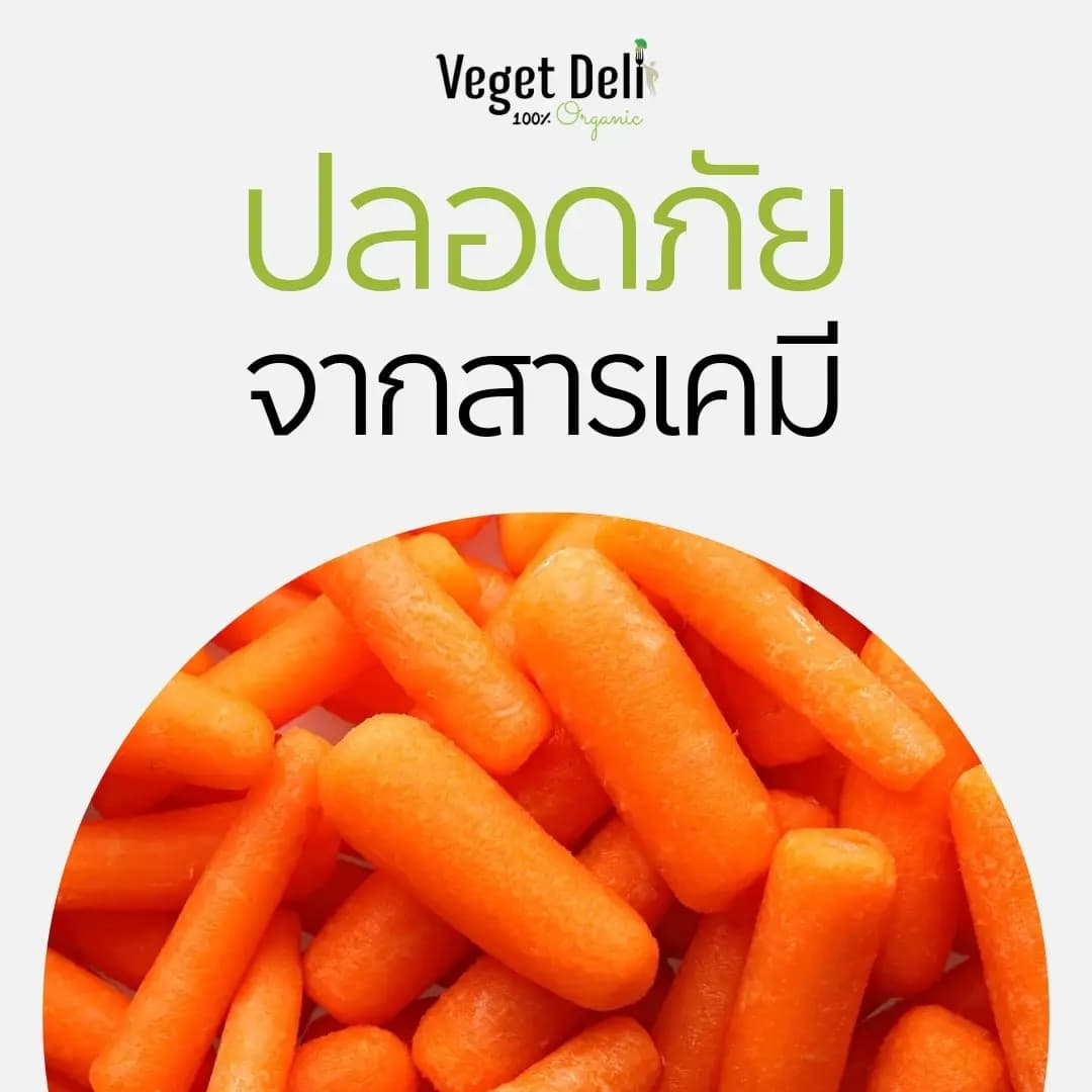 ผักออร์แกนิค ปลอดภัยจากสารเคมี ไรสารเคมี
