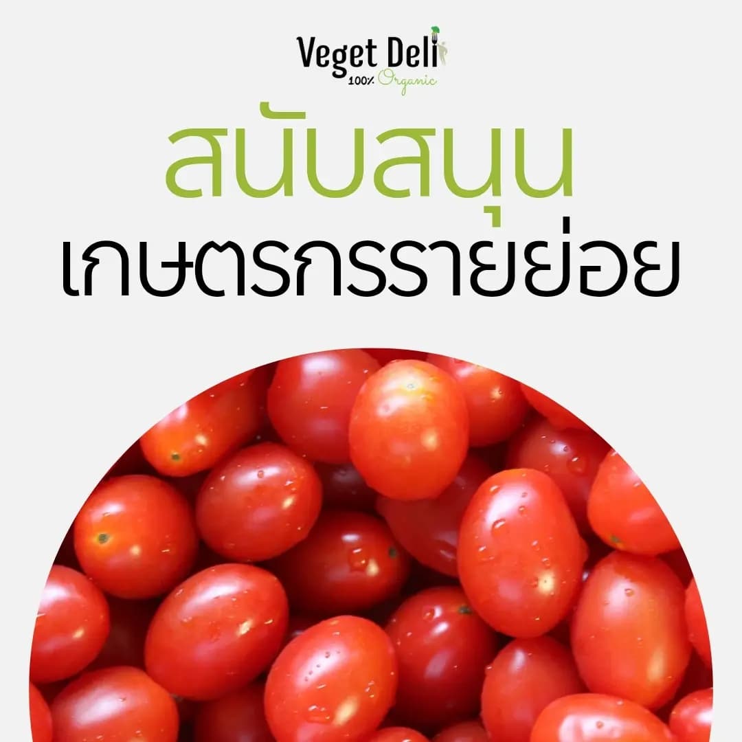 ทานผักออร์แกนิก ช่วยเกษตรกรรายย่อย