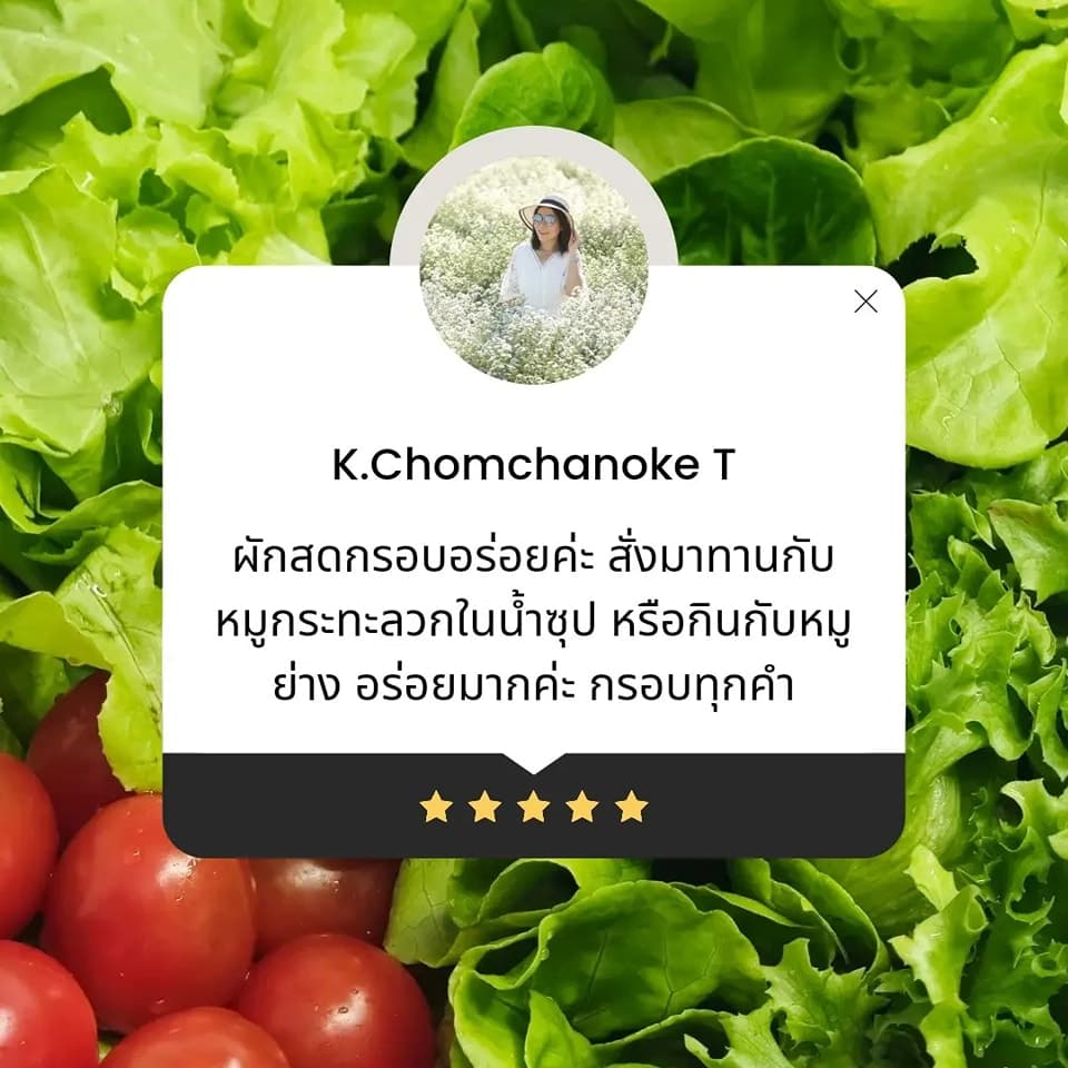 ผักสดกรอบอร่อย สั่งมาทานกับหมูกะทะลวกในน้ำซุป หรือกินกับหมูย่าง ผักอร่อยมาก กรอบทุกคำ