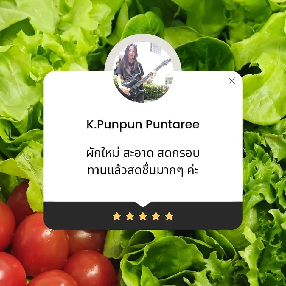 ผักใหม่ สะอาด สดกรอบ ทานแล้วสดชื่นมากๆ