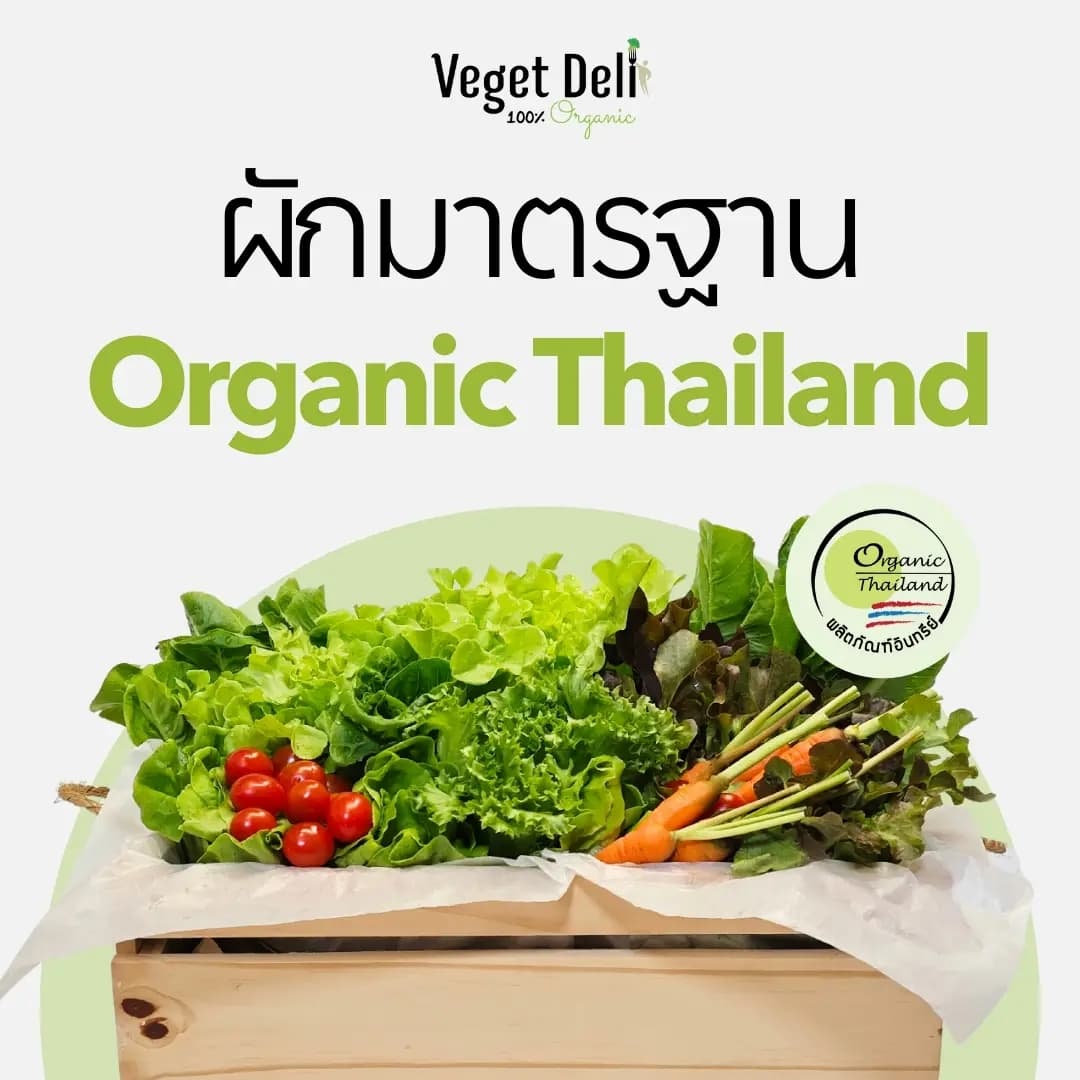 ผักออร์แกนิค ผักออแกนิค ผักออแกนิก