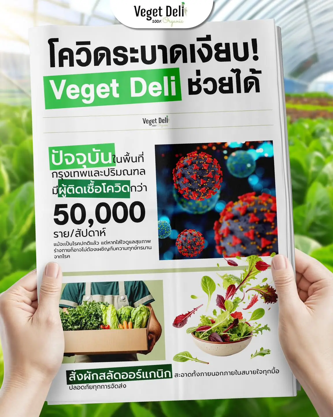 ดูแลภูมิคุ้มกันให้แข็งแรงในทุกวัน ด้วยผักออร์แกนิกจาก Veget Deli