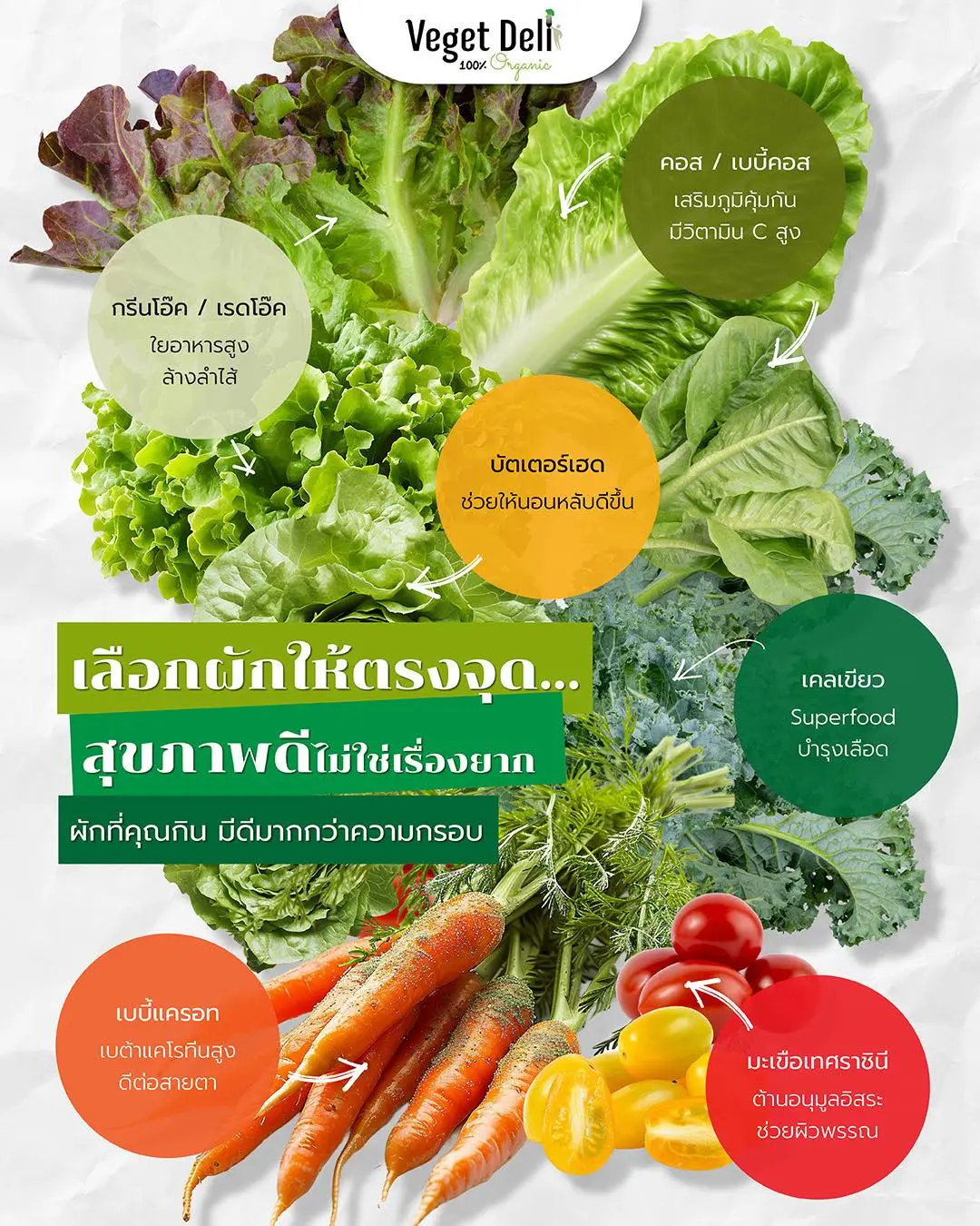 เติมเต็มวิตามินและสารอาหารจากผักสด ๆ คุณภาพสูงจาก Veget Deli