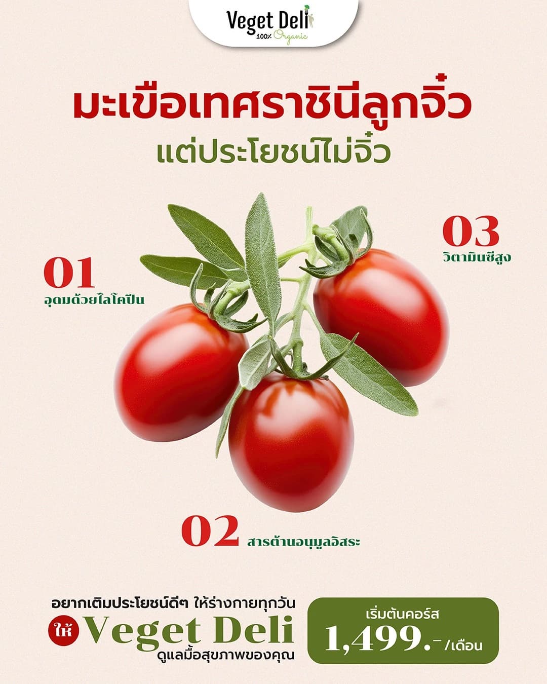จิ๋วแต่แจ๋ว! มะเขือเทศราชินี ประโยชน์เกินตัวที่คุณไม่ควรมองข้าม