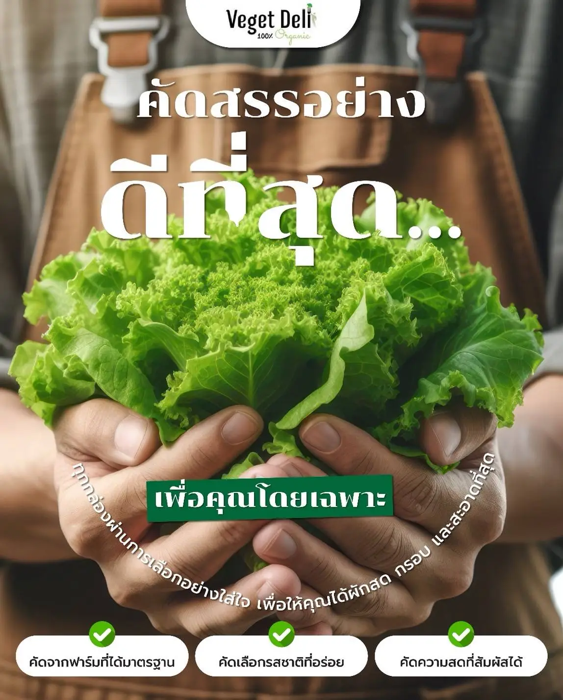 Veget Deli ผักสลัดออร์แกนิก 100% คัดสรรด้วยความใส่ใจในทุกขั้นตอน